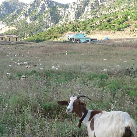 Agriturismo Sa Rocca Iglesias Ngoại thất bức ảnh