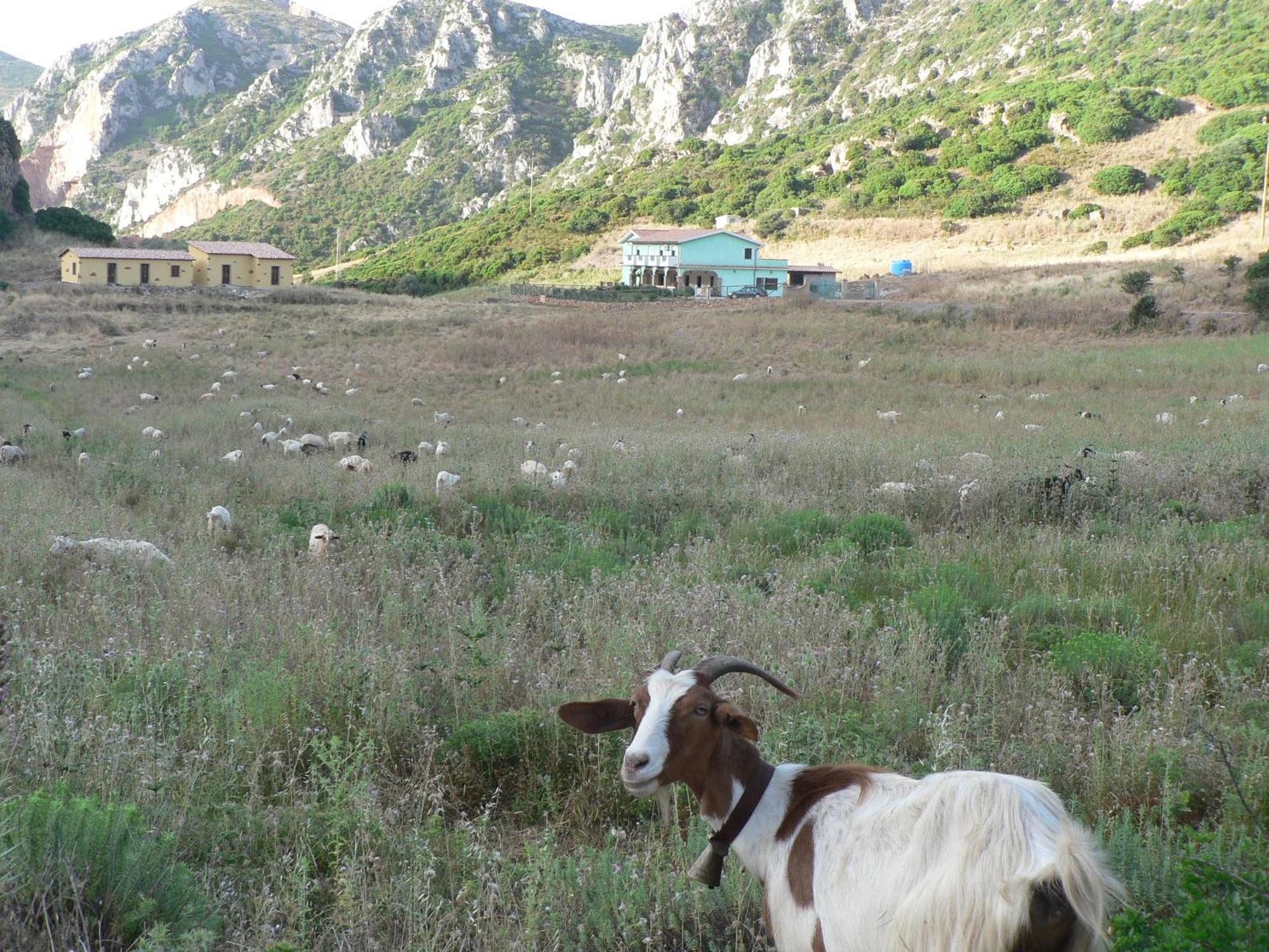 Agriturismo Sa Rocca Iglesias Ngoại thất bức ảnh