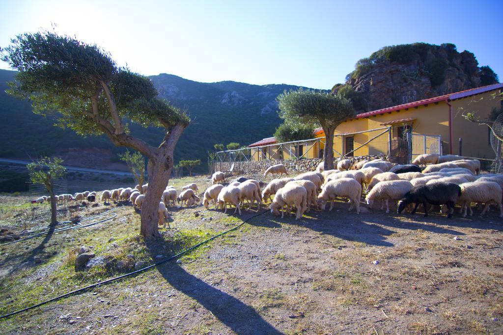 Agriturismo Sa Rocca Iglesias Ngoại thất bức ảnh